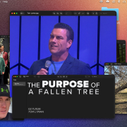 The Purpose of a Fallen Tree | Tom Lyman