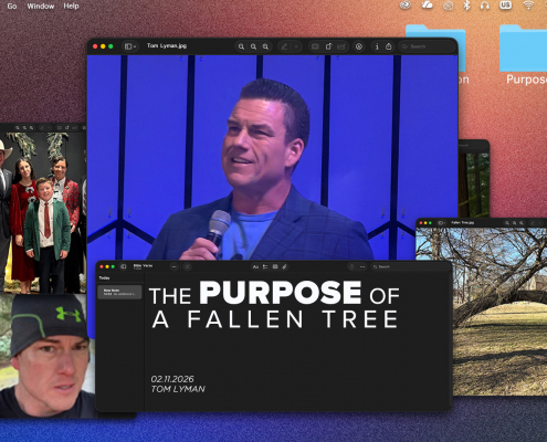 The Purpose of a Fallen Tree | Tom Lyman